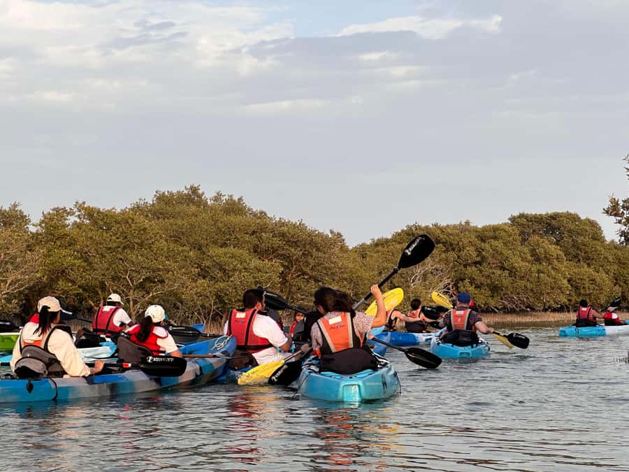 Discover Purple Island | Guided Mangrove Kayaking Experience - Who will enjoy this most