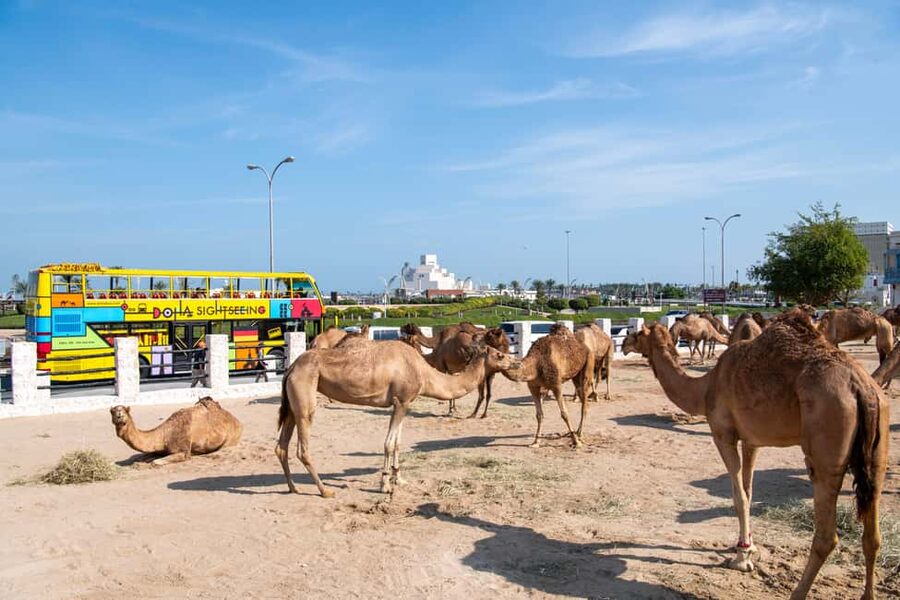 Doha: 24-Hour Hop-On Hop-Off Bus Ticket with Audio Guide - Museum of Islamic Art and the Corniche views
