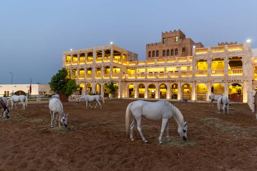 Doha: 4-Hour Doha City Transit Tour from Airport or Hotel - Who should book this Doha city tour?