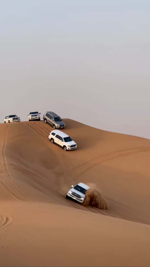 Doha Activities: Desert Safari, Dune Bashing & Inland Sea - Sandline Dunes bring the biggest rush