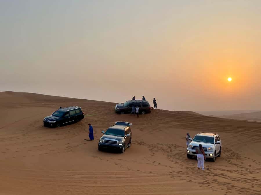 Doha Activities: Desert Safari, Dune Bashing & Inland Sea - Small groups make the format more flexible