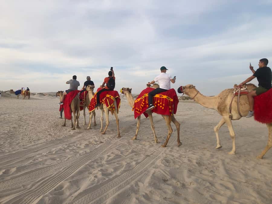Doha Activities: Desert Safari, Dune Bashing & Inland Sea - Should you book this four-hour outing?