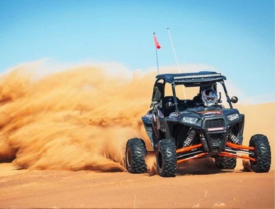 Doha Adventure Quad Bike Safari, Camel Ride & Refreshments - What the photos and setting offer
