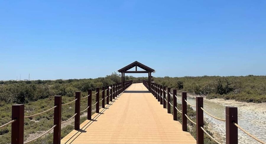 Doha: Al Zubara Fort, Al Jumail & Al Thakira Tour - Key points at a glance