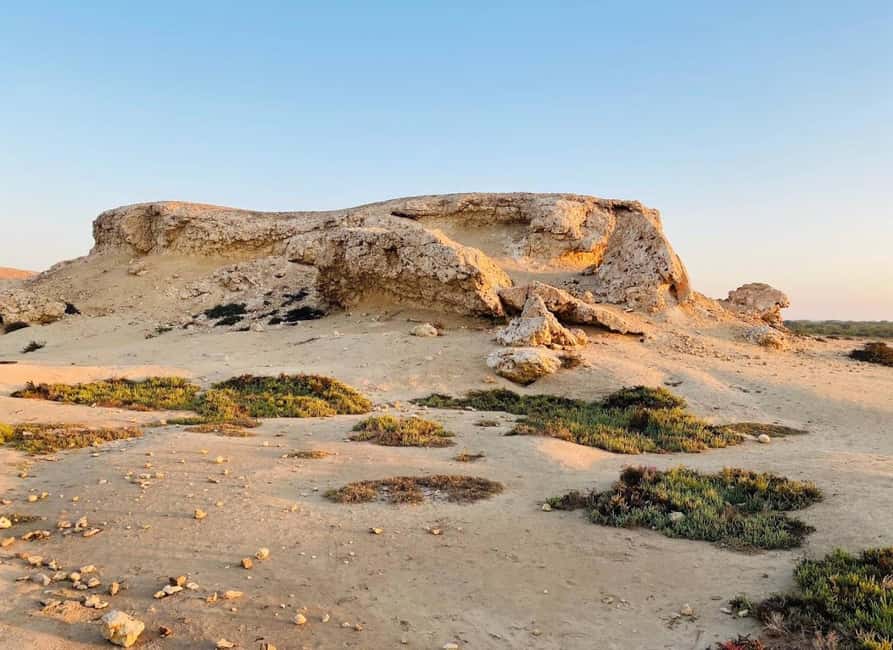 Doha: Al Zubara Fort, Al Jumail & Al Thakira Tour - Timing Tips Before You Book