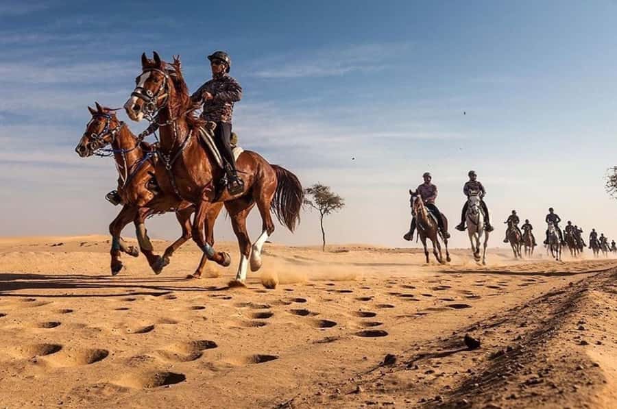 Doha : Arabian Horse Ride Experience With Pickup & Drop Off - Why the horse match matters for beginners