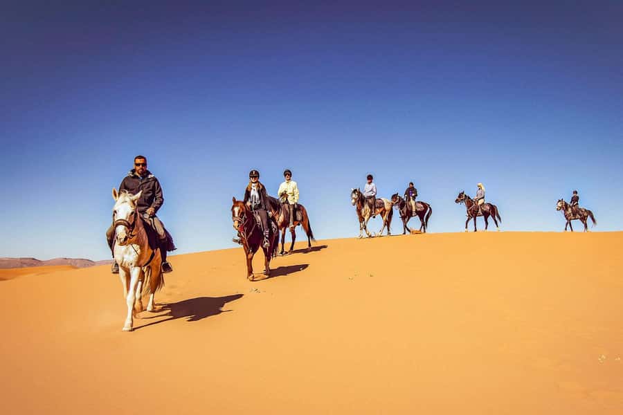 Doha : Arabian Horse Ride Experience With Transfer - Key points to know before you book