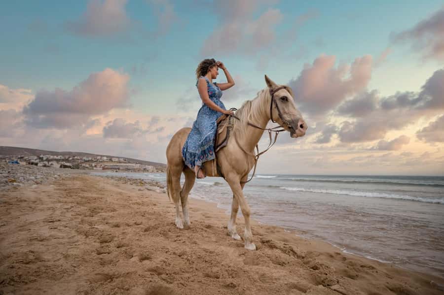 Doha : Arabian Horse Ride Experience With Transfer - Leaving Doha for the Sealine desert