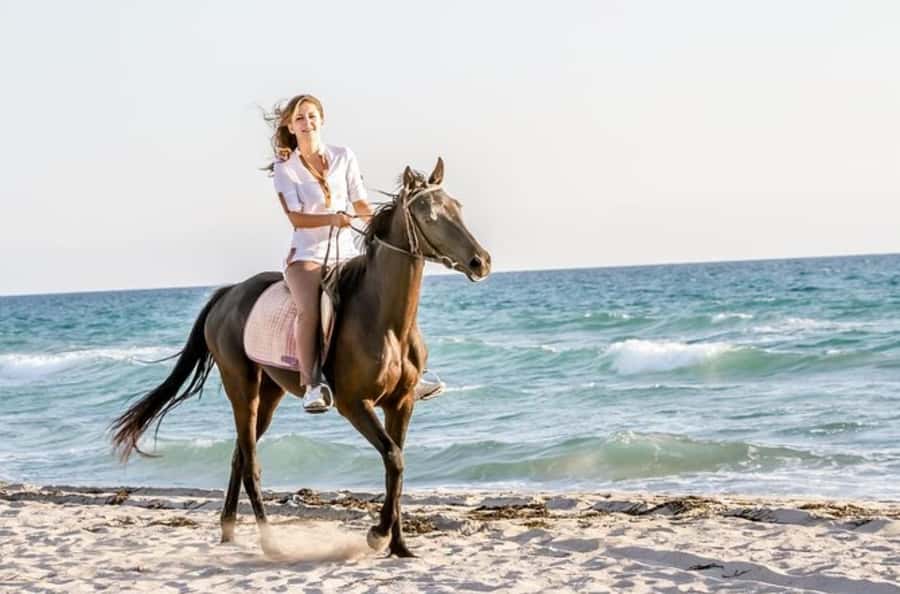 Doha : Arabian Horse Ride Experience With Transfer - One hour on horseback near Sealine