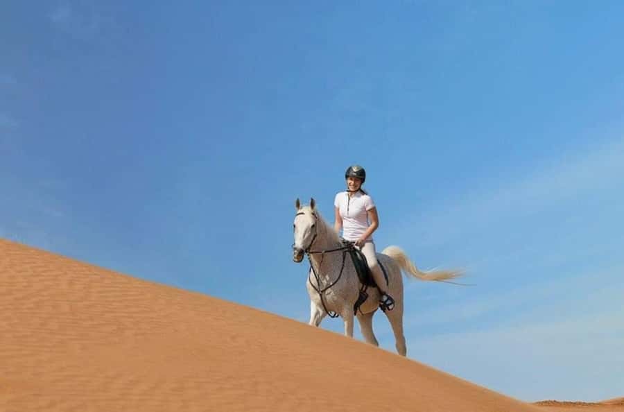 Doha : Arabian Horse Ride Experience With Transfer - The Sealine stop and Inland Sea route