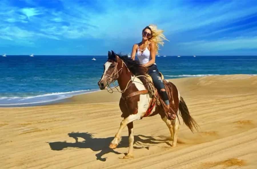 Doha : Arabian Horse Ride Experience With Transfer - Meeting your horse and instructor