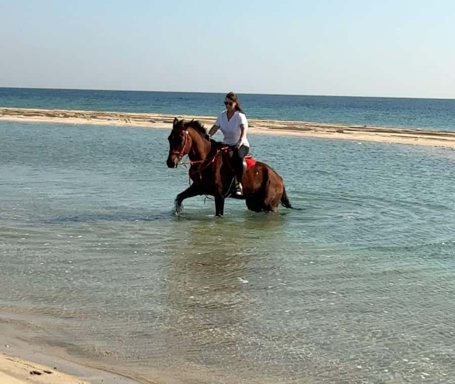Doha: Arabian Horse Riding Experience –Sea or Desert Options - Key points