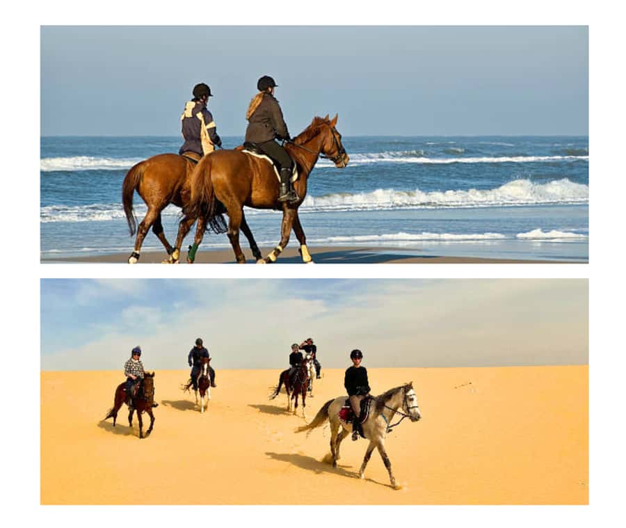 Doha: Arabian Horse Riding Experience –Sea or Desert Options - What the one-hour Arabian horse ride feels like