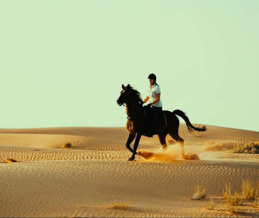 Doha: Arabian Horse Riding Experience –Sea or Desert Options - Desert riding near Mesaieed: beautiful, but not remote