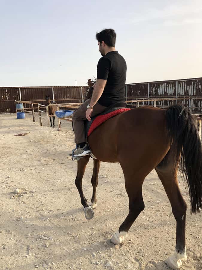 Doha: Arabian Horse Riding Experience –Sea or Desert Options - What is included for $123