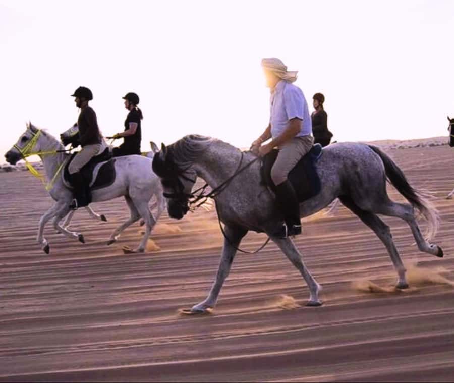 Doha: Arabian Horse Riding Experience –Sea or Desert Options - Who should book this experience