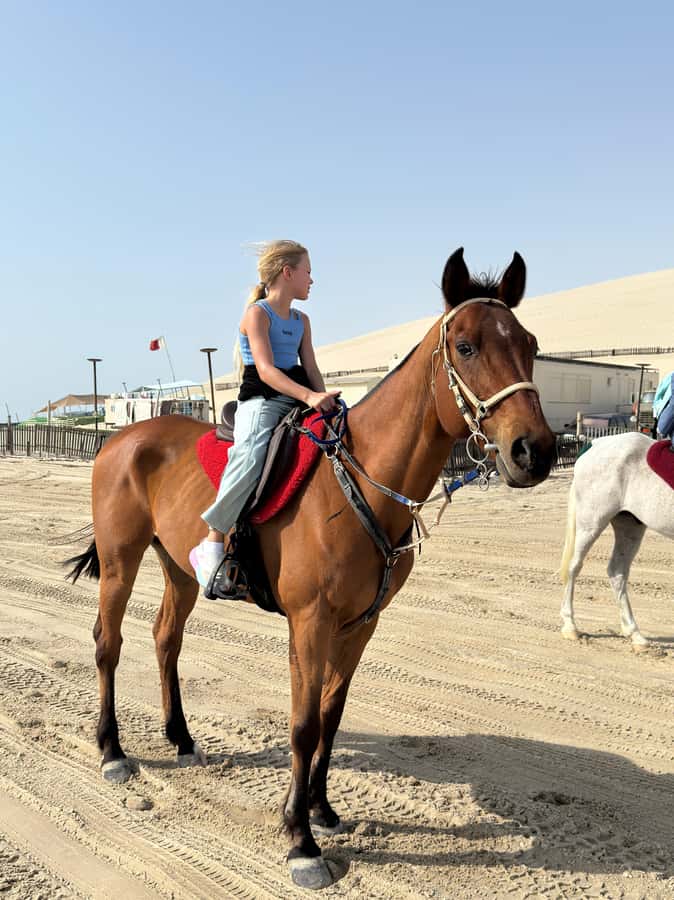Doha: Arabian Horse Riding Experience –Sea or Desert Options - Timing, heat, and what to bring