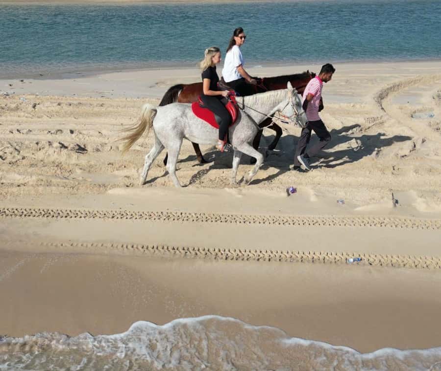 Doha: Arabian Horse Riding Experience –Sea or Desert Options - The Doha pickup and drive to Al Wakrah Municipality