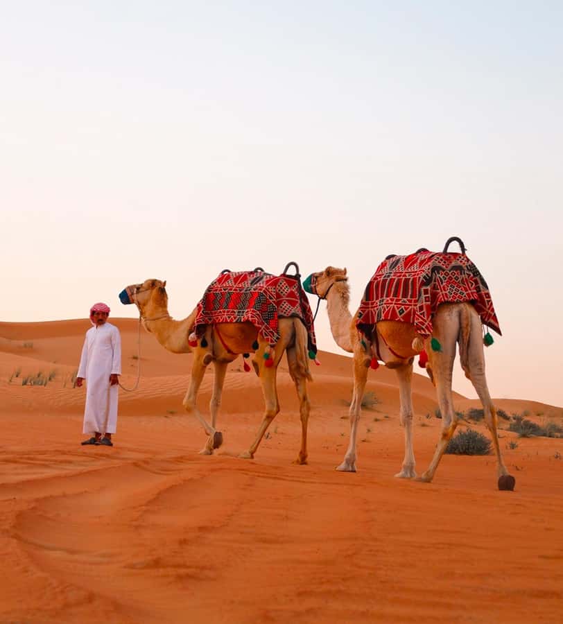 Doha: ATV/Desert Safari with Activities and Inland Sea Stop - Sandboarding on the open slopes