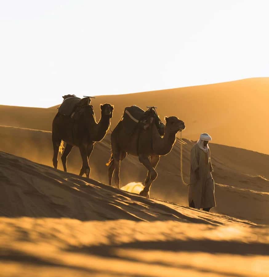 Doha: ATV/Desert Safari with Activities and Inland Sea Stop - How the guides shape the experience