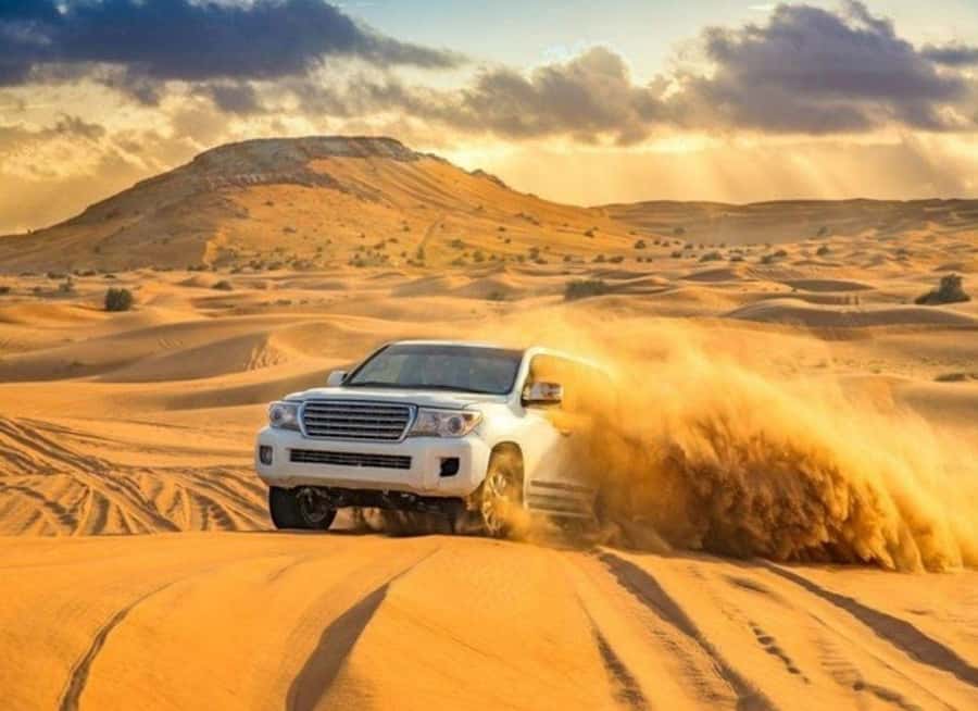 Doha: Budget Friendly Desert Safari,CamelRide & Sandboarding - Key points to know before booking