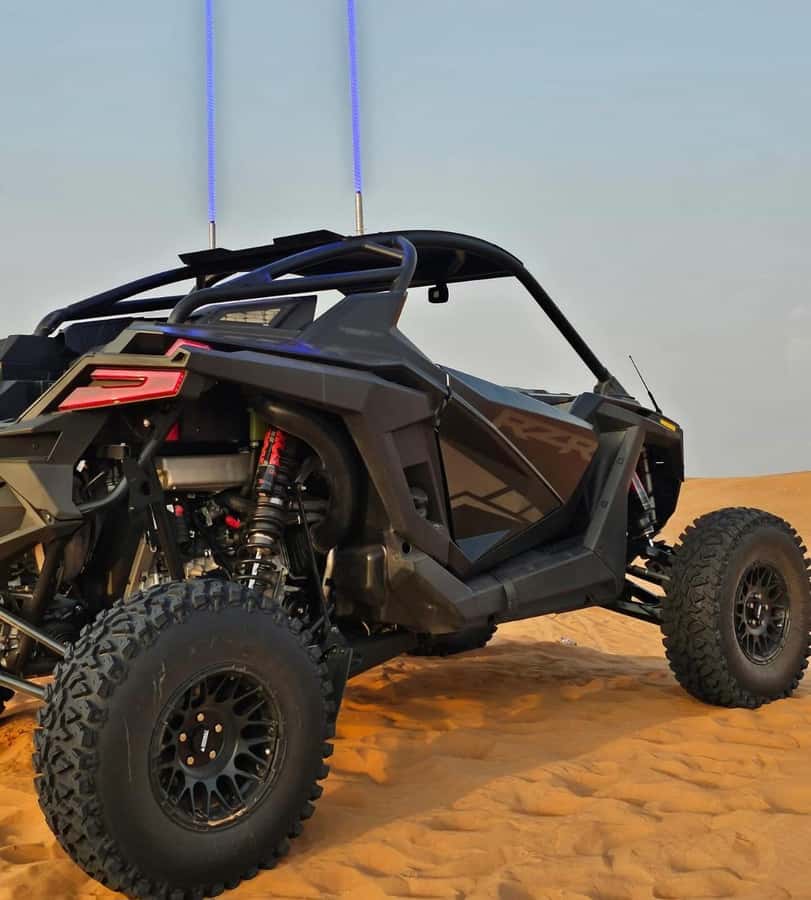 Doha: Buggy Adventure and desert safari - Key points to know before booking