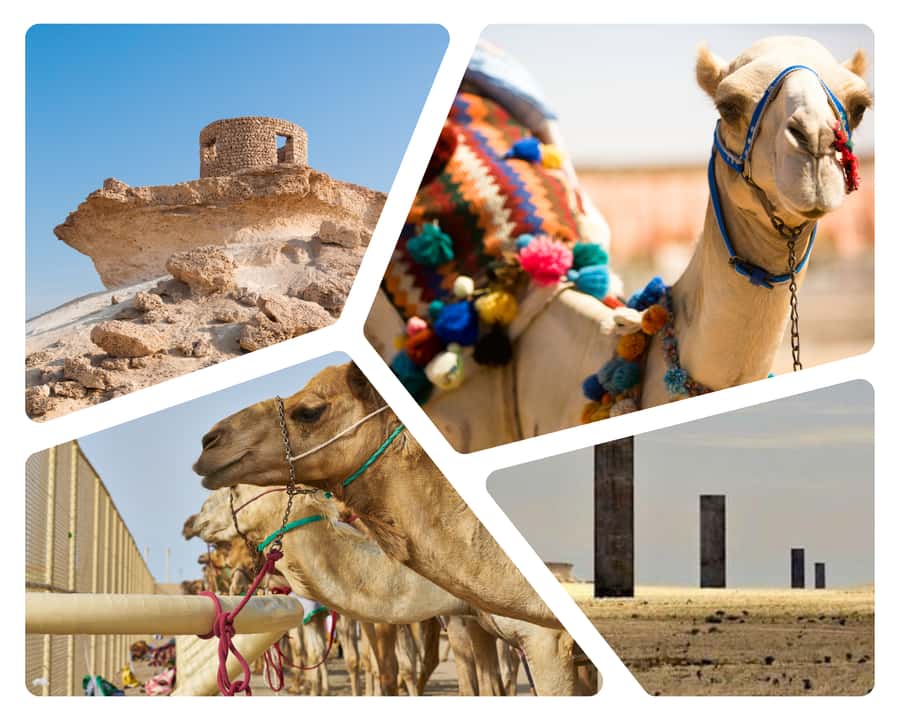 Doha Camel Race Track & Richard Serra Desert Sculpture Tour - Al-Shahaniya Camel Race Track and Qatar’s living tradition