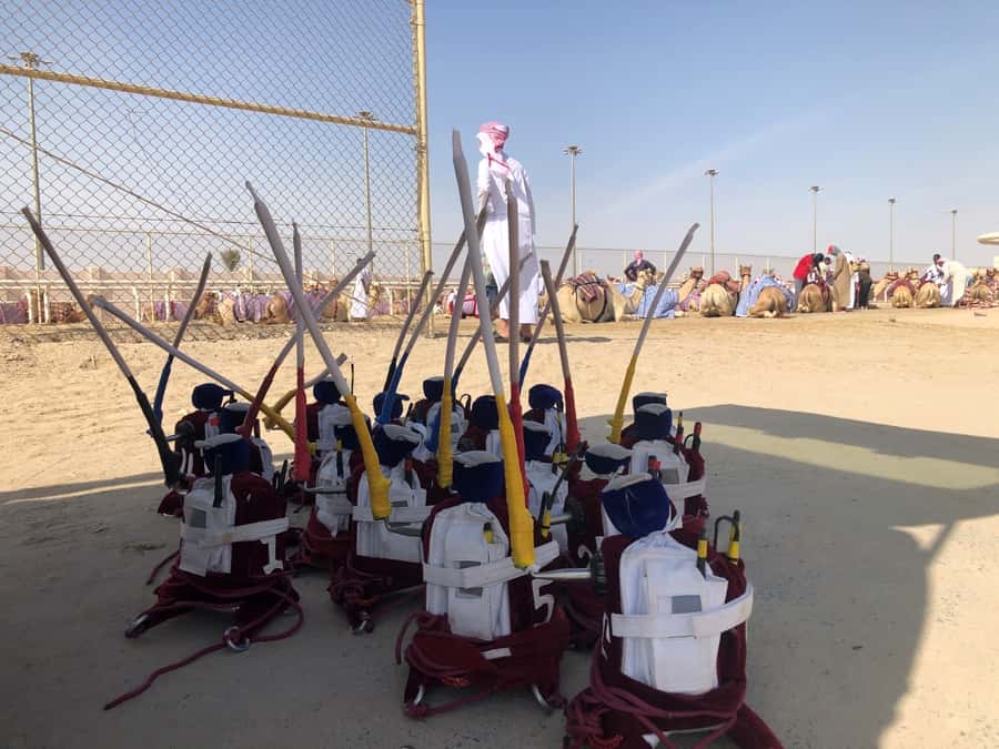Doha Camel Racing Track: Oryx Farm & Sheikh Faisal Museum. - Key points at a glance