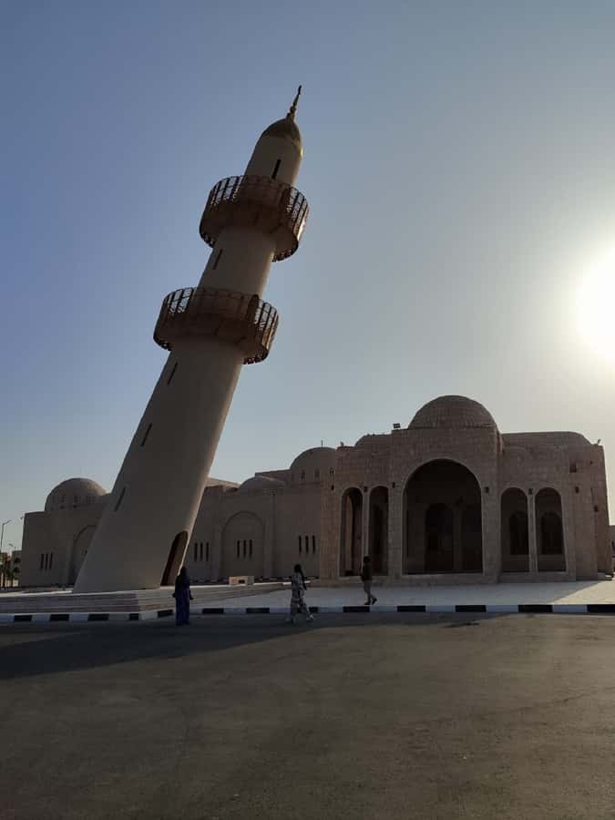 Doha Camel Racing Track: Oryx Farm & Sheikh Faisal Museum. - Guides can shape the whole experience