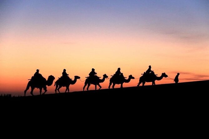Doha City and Desert Safari Tours (Combo Tour) - Two hours of dune bashing and open desert views