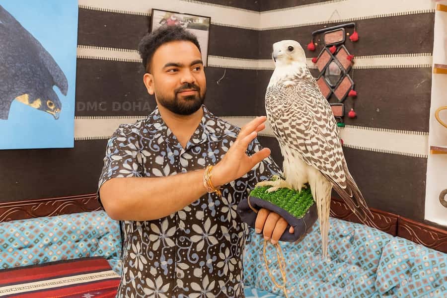 Doha City Tour from Hotel, Airport, Cruise Ship Port - The Pearl and Qanat Quartier