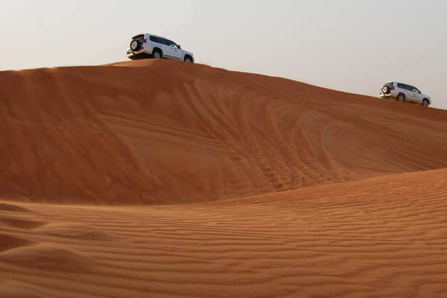 Doha: Combo City Tour, Souq Waqif & 4WD Desert Safari - Camel time and the Bedouin camp