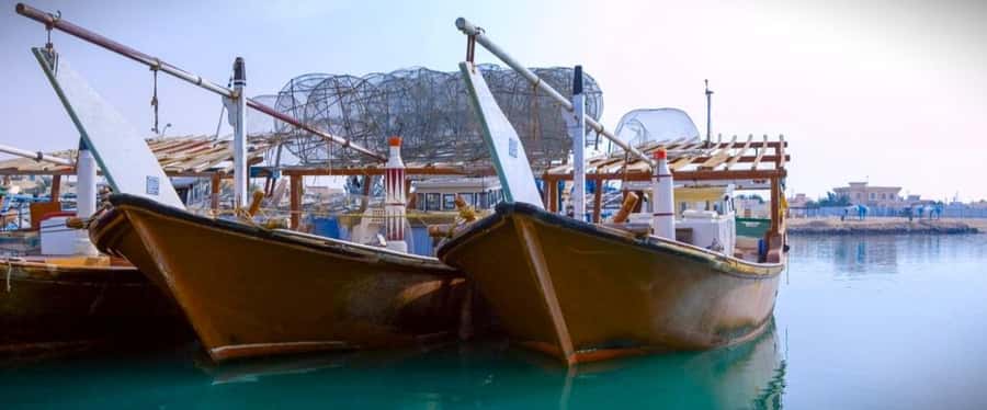 Doha: Combo Heritage & Art Tour of North and West Qatar - Starting in Doha and reaching Al Ruwais