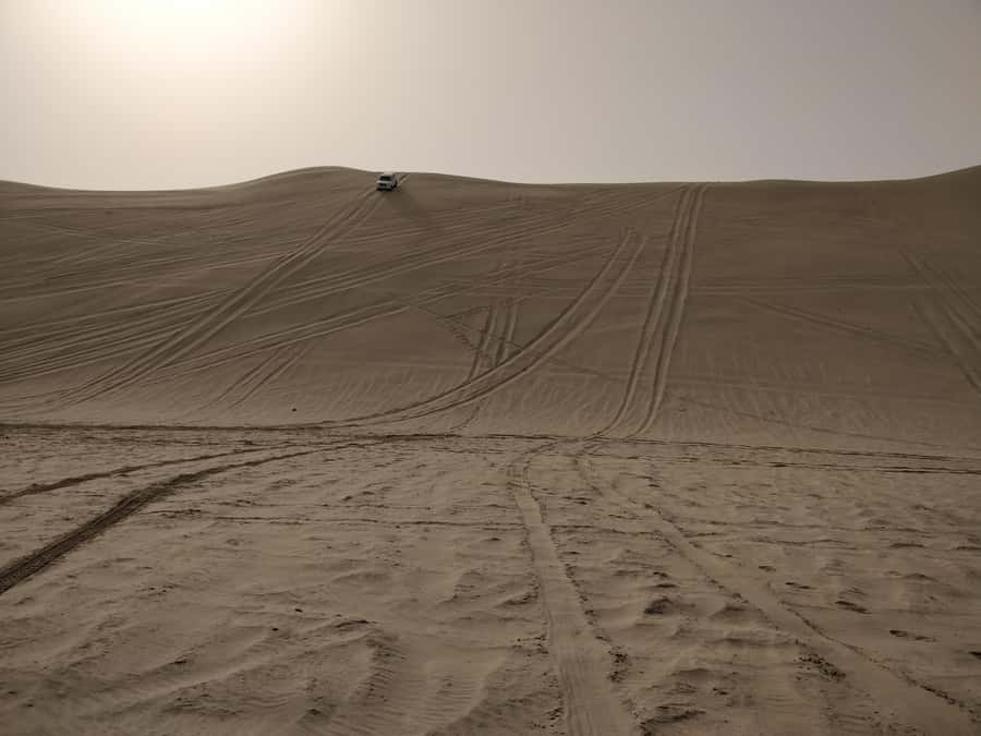 Doha: Combo Private Tour of Desert Safari with ATV Ride - What the $100 price really covers