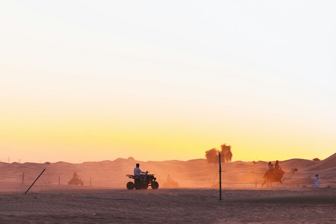 Doha Delights City Tour with Desert Safari and Inland Sea Visit - Leaving Doha for the Qatari desert
