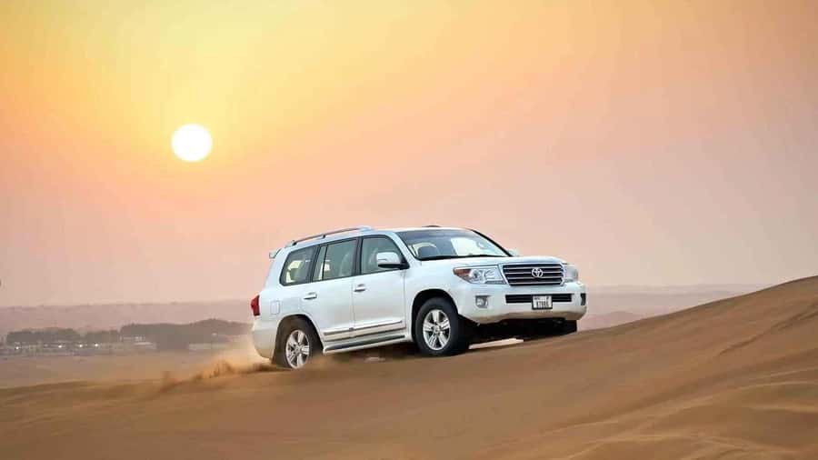 Doha: Desert 4x4, ATV/Quad, Camels, Sandboarding, Inland sea - From Doha to Sealine Beach, about one hour on the road