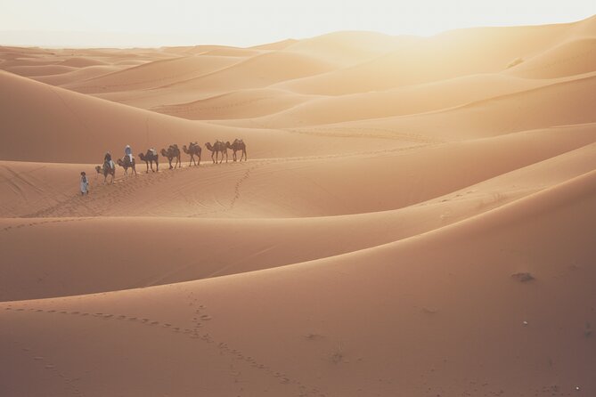 Doha Desert Adventure, Sandboarding, Dune Bashing,Inland Sea Tour - Is $60 a fair price for this Qatar safari?
