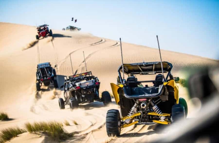 Doha: Desert Buggy Ride, Camel Ride, Dune Bashing, Sandboard - A short camel ride and tea break
