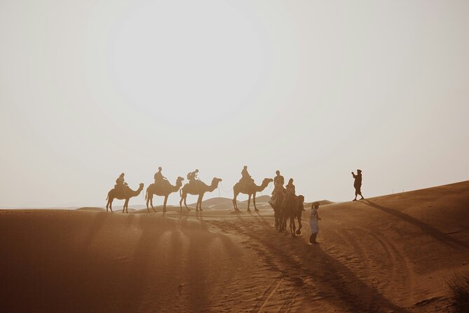 Doha Desert Excursion Dune Bashing Sandboarding Camel Ride - Guides and the quality of the drive
