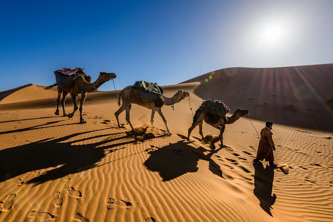 Doha Desert Excursion Dune Bashing Sandboarding Camel Ride - What $60 per person really buys