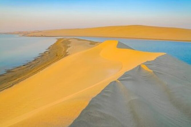 Doha Desert Safari Camel Ride, Sandboarding and Inland Sea - The camel ride: tradition in a small serving