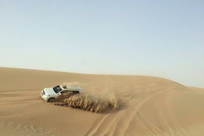 Doha Desert Safari Dune Bashing Camel Ride - Falcon photos and the traditional camp