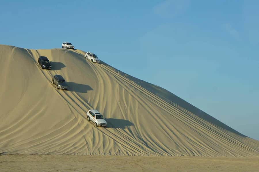 Doha: Desert Safari, Dune Bashing, Inland Sea With Transfers - Sealine Beach is the calm before the ride