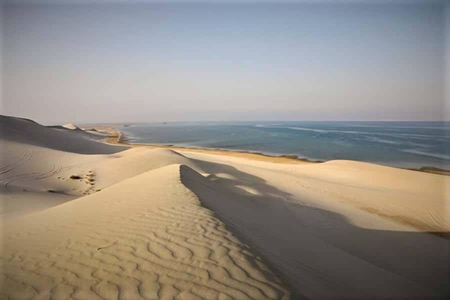 Doha: Desert Safari Dune Bashing, Sandboarding, & Camel Ride - Sandboarding on the high dunes