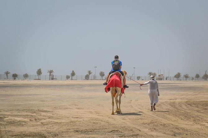 Doha Desert Safari: Dunebashing, Camel, Sandboarding & Inland Sea - Leaving Doha for the open desert