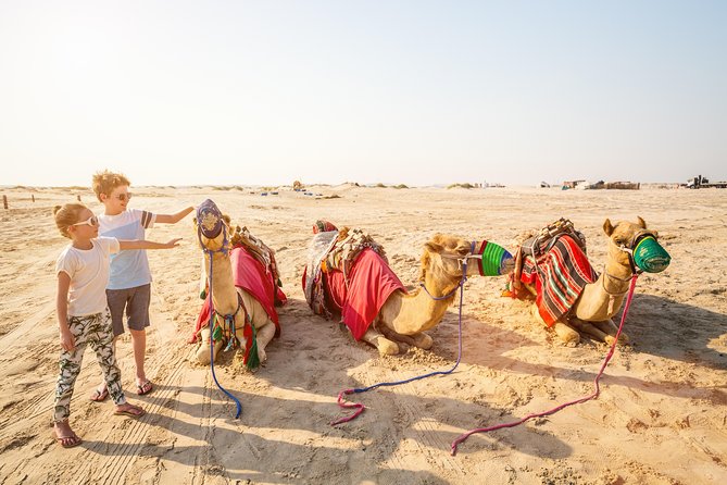Doha Desert Safari: Dunebashing, Camel, Sandboarding & Inland Sea - The main event: a rough ride across the dunes