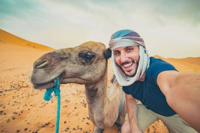 Doha Desert Safari Horse Riding, Camel Ride, ATVs & Inland Sea - The ride from Doha to Sealine Beach