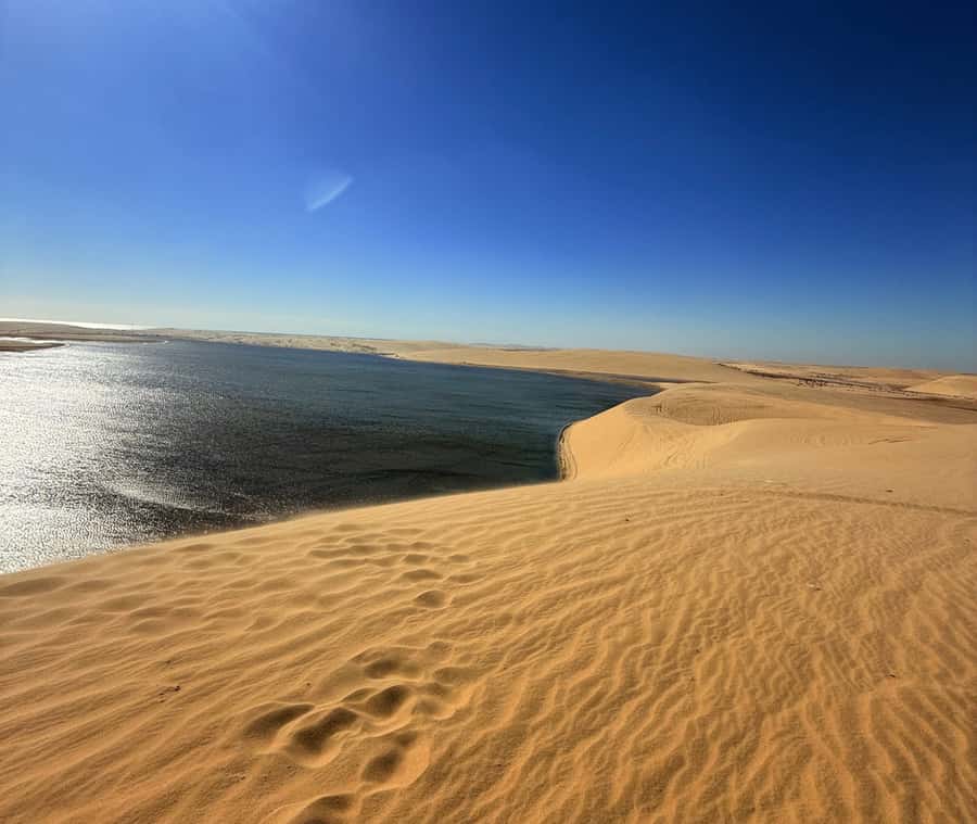 Doha: Desert Safari, Quad Bike, Camel Ride & Inland Sea - The one-hour 4WD transfer south
