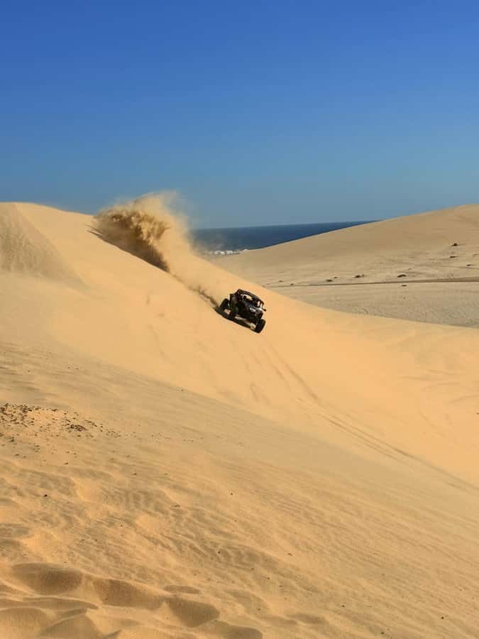 Doha: Desert Safari, Quad Bike, Camel Ride & Inland Sea - A camel ride that may be more photo stop than trek