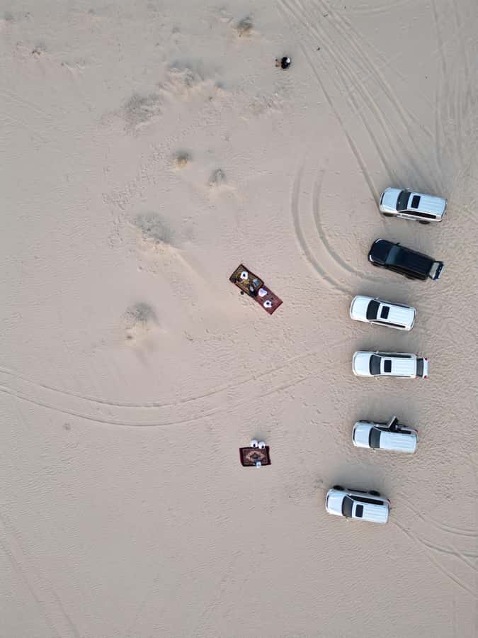 Doha: Desert Safari, Quad Bike, Camel Ride & Inland Sea - Dune bashing with a skilled driver